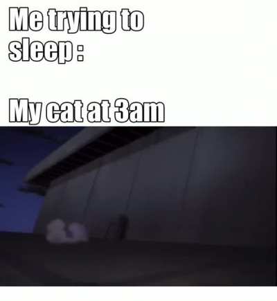 Gotta go fast