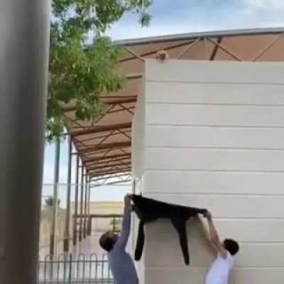 Rescue mission catculations