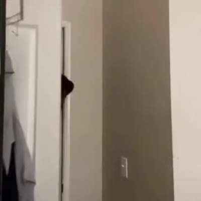 O título ta (˵ ͡° ͜ʖ ͡°˵)