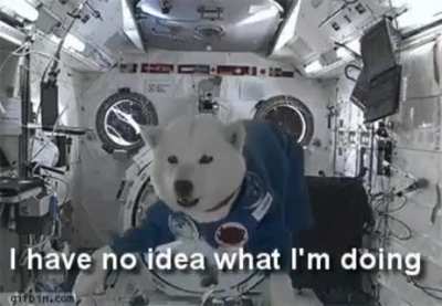 Me trying to capitalise on the Wall Street GME scene by posting a doge gif