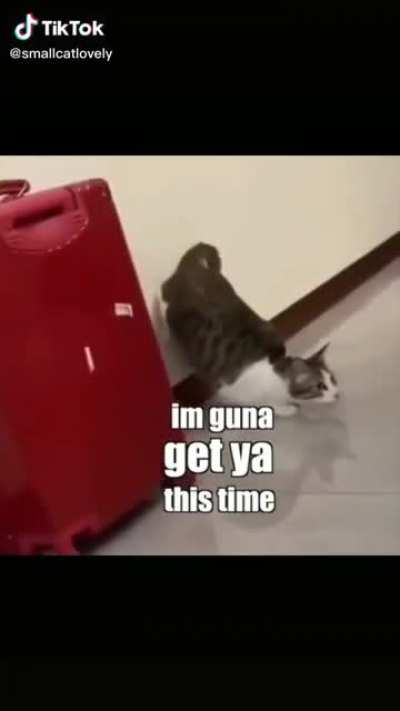 F&*! You-