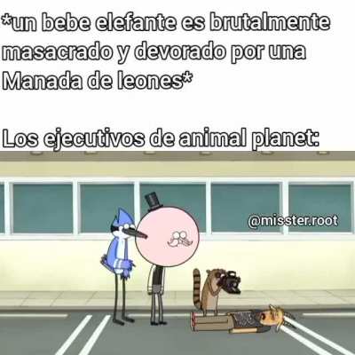 Re ql eran
