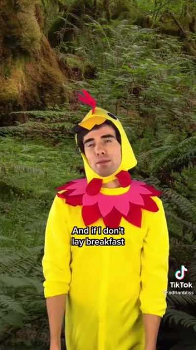 From Dino to Chicken…….