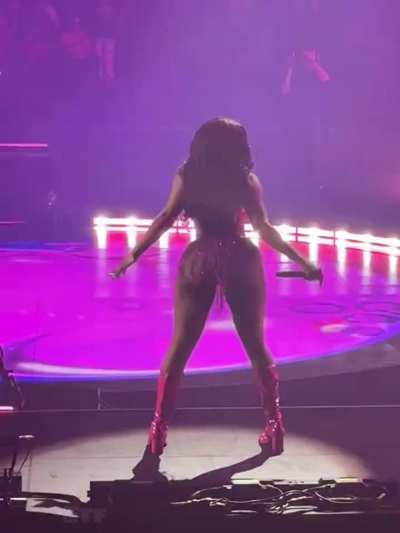 Megan Thee Stallion 