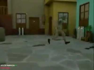 Chavinho