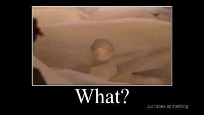 What?
