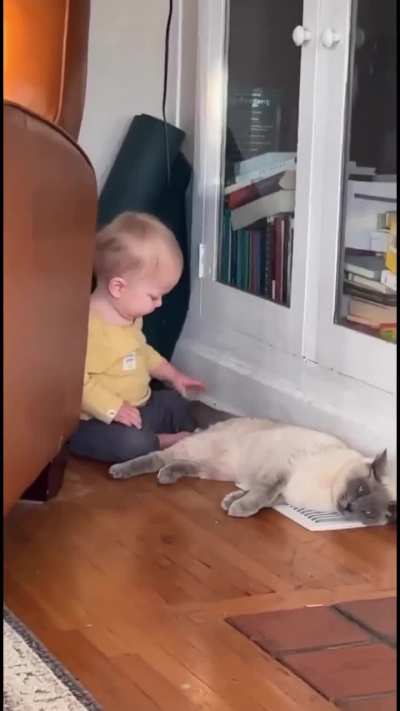Smol vs Smol😾