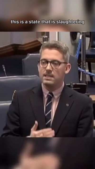Irish senator calls to expell Israeli ambassador