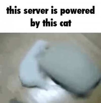 Powered by wunkus