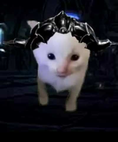 hi gaius