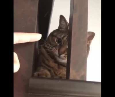 Wait, I think I'm stuck