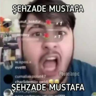Görüşürüz şehzadem
