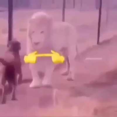 UwU