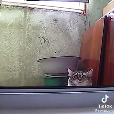 Don't be suspicious.