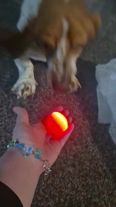 He Hates this thing