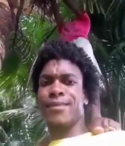 🥥