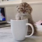 Доброе утро