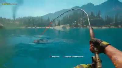 Desinc goes fishing