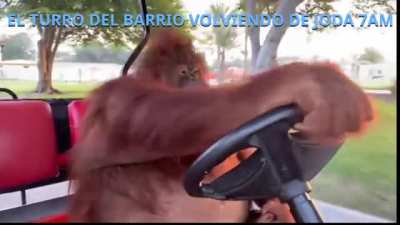 Cuando llega el turro al barrio 7am (feliz 2022 para todos)
