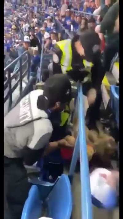 Woman assaults police officer after getting pushed by another fan