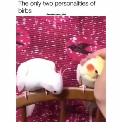 Eternal jealousy