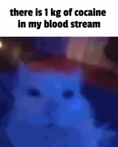i sharted my pant