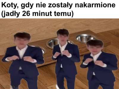 Panie, to jest znęcanie się nad zwierzętami