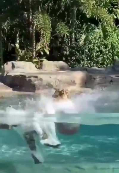 Cute playtime