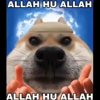 ماذا يفعل الكلب المضحك 🙏 🙏 🙏