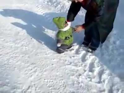 Macaco invernal