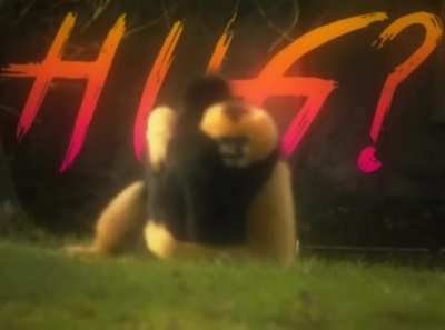 Hug?