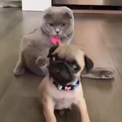 He's right behind me isn't he?!