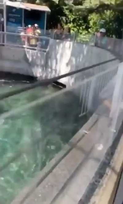 I think he liked the fish
