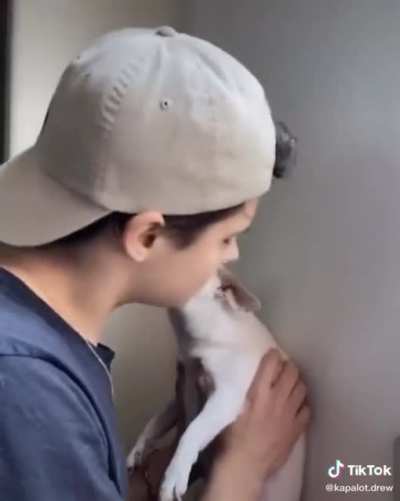 The Dog was feeling it