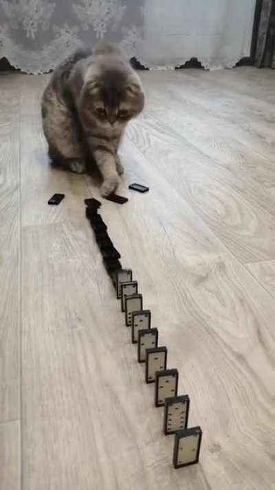 “Did I do that?”