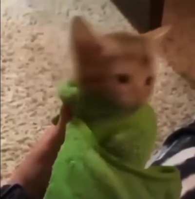 Where'd he go?