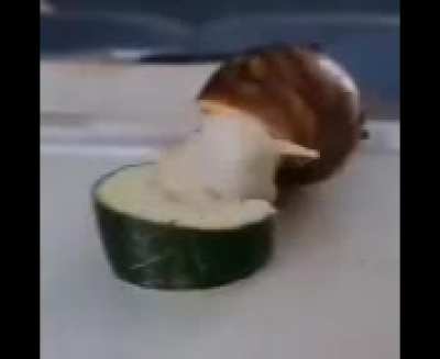 Achei fofo