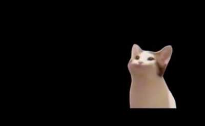 Sending Pussy Pics (The Musical Porno)