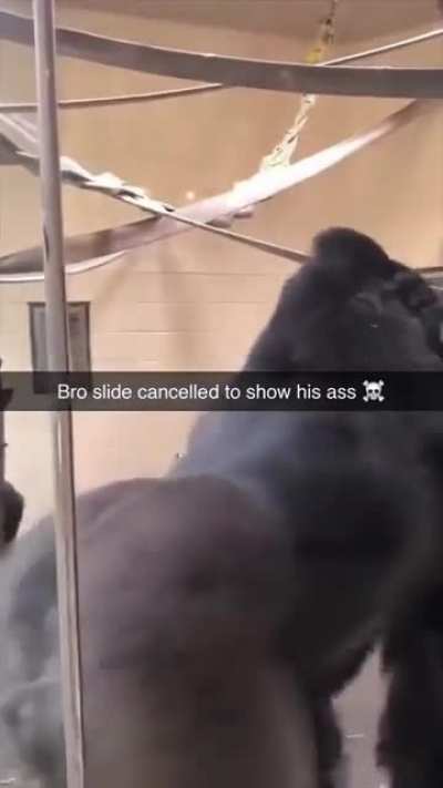 Slide cancelled