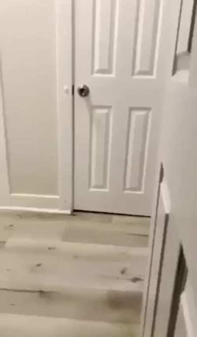 an interesting ne way to bowl