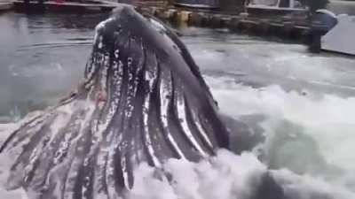 I’m never going swimming again