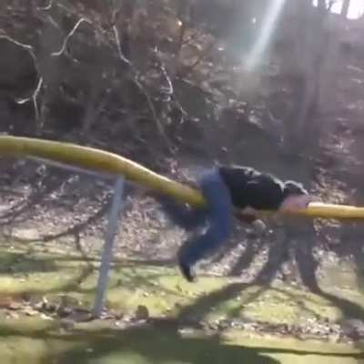 And the darwin award goes to....
