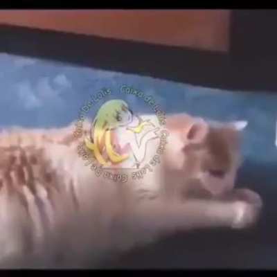 >////<
