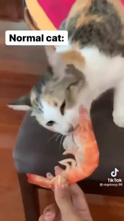 Shirmp
