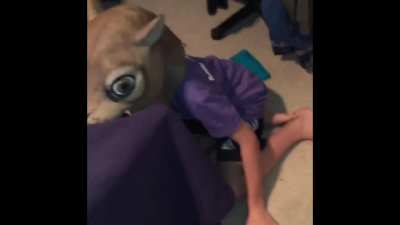 I found this old video of me and my friend being idiots
