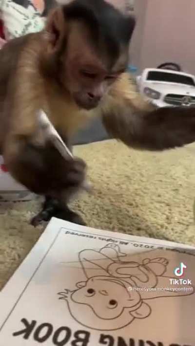 Fellow Ape