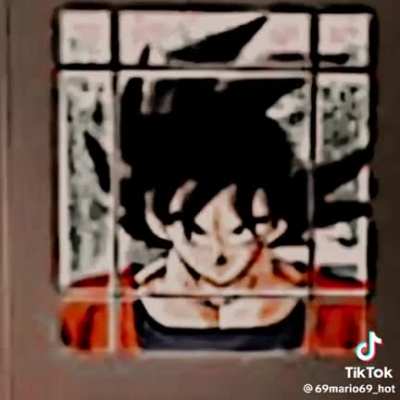 Goku noo!!