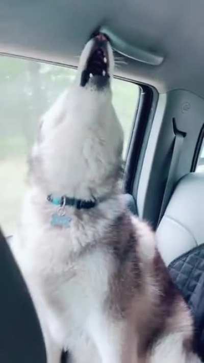When your siblings are arguing in the car so your mom outs you between them