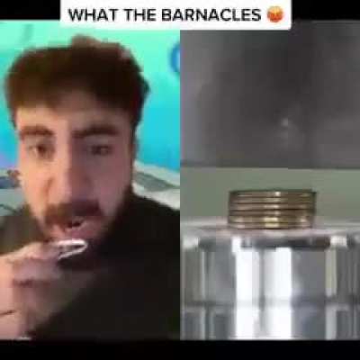 barnacles