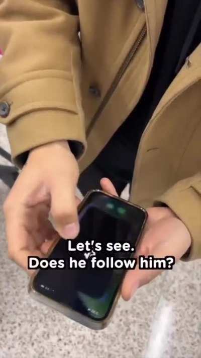 do u follow mr beast?